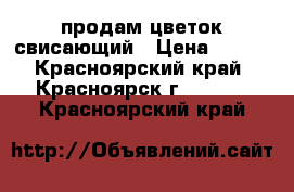 продам цветок свисающий › Цена ­ 150 - Красноярский край, Красноярск г.  »    . Красноярский край